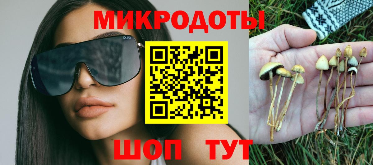 Асино  Галлюциногенные грибы GOLDEN TEACHER  Вход с VPN 
